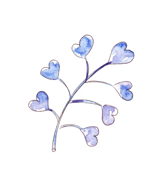 Acuarela dibujada a mano planta de invierno. Ilustración botánica. — Foto de Stock