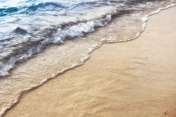 A wide variety of seashells display texture and color on a sandy beach while photographed in early morning light. Black Sea. Mamaia. Constanta. Romania. warm light.old rich colors. — Stock Photo, Image