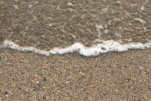 Uma grande variedade de conchas exibem textura e cor em uma praia de areia enquanto fotografado no início da manhã. Mar Negro. Mamaia. Constanta. Roménia. cores quentes light.old ricos . — Fotografia de Stock