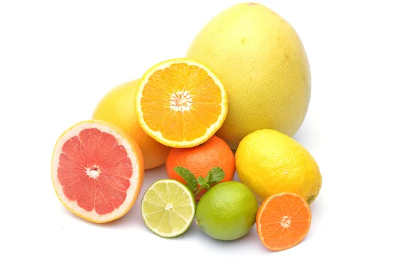 Citrus on white background — Stock Photo, Image