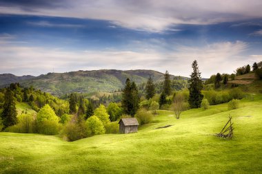 Işığın solgunluğu. Dağ tepelerinde sabah. Holbav