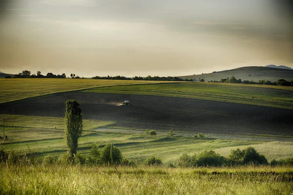 Sunset on Moldavian hills — Stock Photo, Image