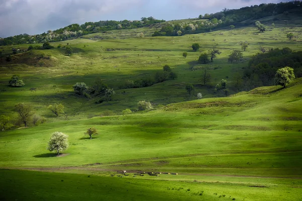 Green. Transylvanian wzgórza na wiosnę w pobliżu Viscri. Dramatyczne interpretacji. — Zdjęcie stockowe