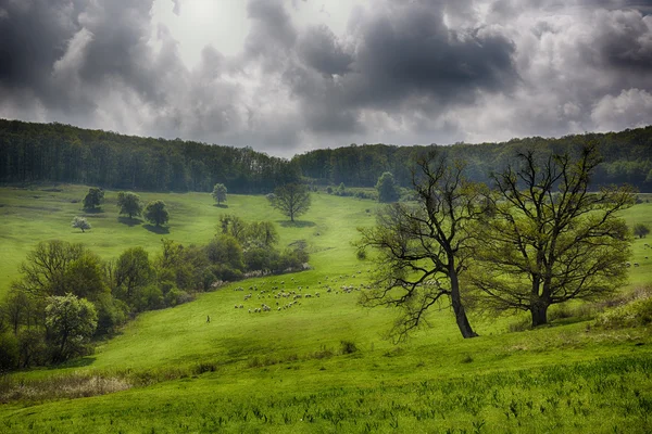 Verde. Colinas de Transilvania en primavera cerca de Viscri. Interpretación dramática . —  Fotos de Stock