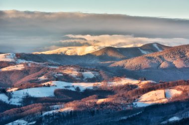 Güneşli bir kış, vahşi Transilvanya tepelerde donmuş. Holbav. Romanya. Düşük anahtar, koyu arka plan, spot aydınlatma ve zengin eski ustalar