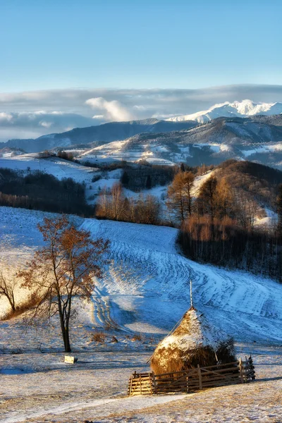 Gefrorener sonniger Wintertag auf den wilden Hügeln Transsilvaniens. holbav. Rumänien. Low-Key, dunkler Hintergrund, Spotbeleuchtung und reiche alte Meister — Stockfoto