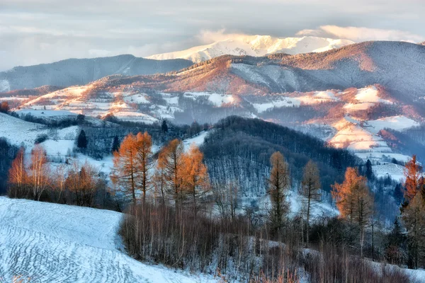 Dia ensolarado congelado de um inverno, em colinas de transilvânia selvagens. Holbav. Roménia. Tecla baixa, fundo escuro, iluminação local e ricos velhos mestres — Fotografia de Stock