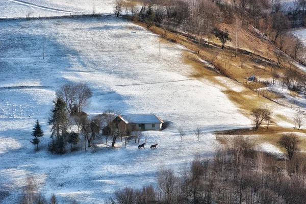 Zmrazené slunečný den zimy, na divoké Transylvánie kopcích. Holbav. Rumunsko. Nízké klíč, tmavé pozadí, bodové osvětlení a bohatí staří mistři Stock Obrázky