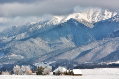 Arka planda Bucegi Dağları ile vahşi Transilvanya tepelerde bir kışın güneşli gün.