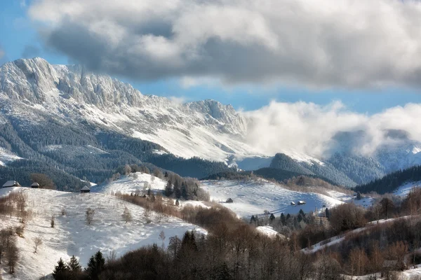 Sonniger Wintertag, auf wilden Hügeln Transsilvaniens mit Bucegi-Bergen im Hintergrund. — Stockfoto