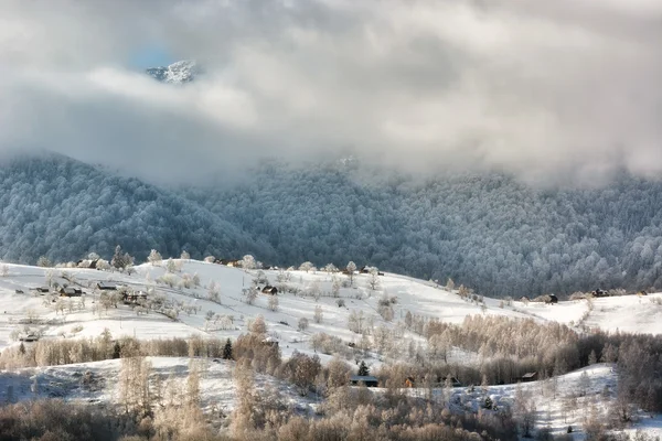 Dia ensolarado de um inverno, em colinas transylvania selvagens com montanhas de Bucegi no fundo . — Fotografia de Stock