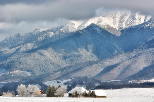 Slunečný den zimy, na divoké Transylvánie kopcích s Bucegi mountains v pozadí. — Stock fotografie