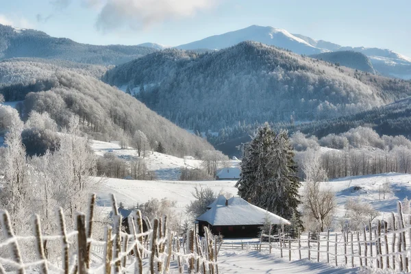 Dia ensolarado de um inverno, em colinas Transilvânia selvagens. Roménia . — Fotografia de Stock
