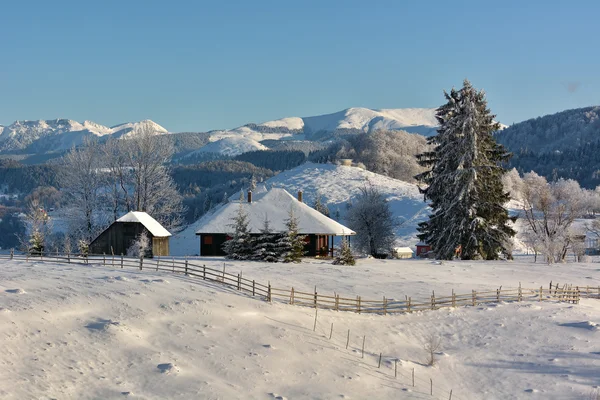 Dia de um inverno, em colinas de transylvania selvagens — Fotografia de Stock