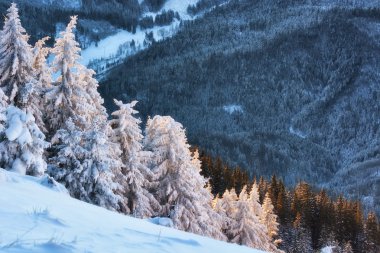 Kış hikaye. Kitlesi'nin dağın tepesine güneş doğarken