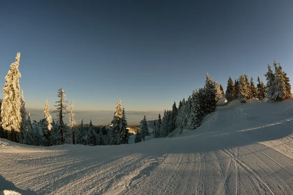 História de inverno. nascer do sol no topo da montanha Postavarul — Fotografia de Stock