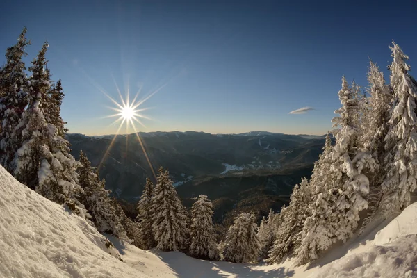 História de inverno. nascer do sol no topo da montanha Postavarul — Fotografia de Stock