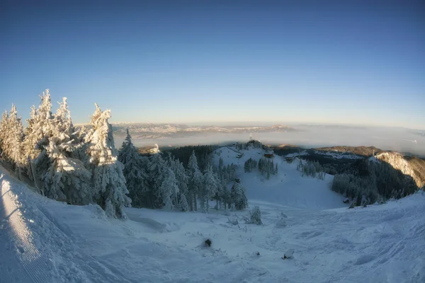 História de inverno. nascer do sol no topo da montanha Postavarul — Fotografia de Stock