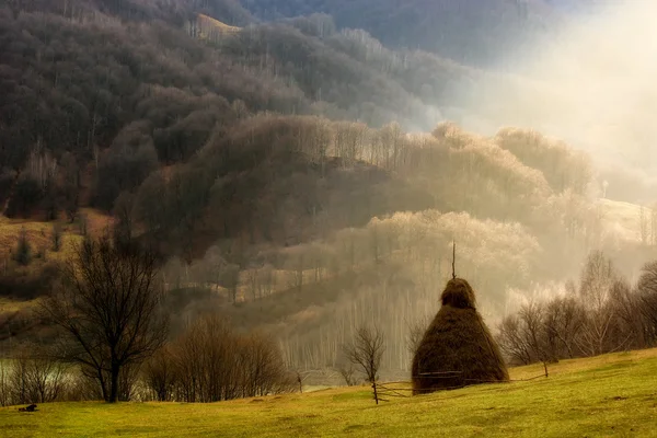 El día brumoso y soleado del otoño, sobre las colinas salvajes de Transilvania. Holbav. Rumanía —  Fotos de Stock