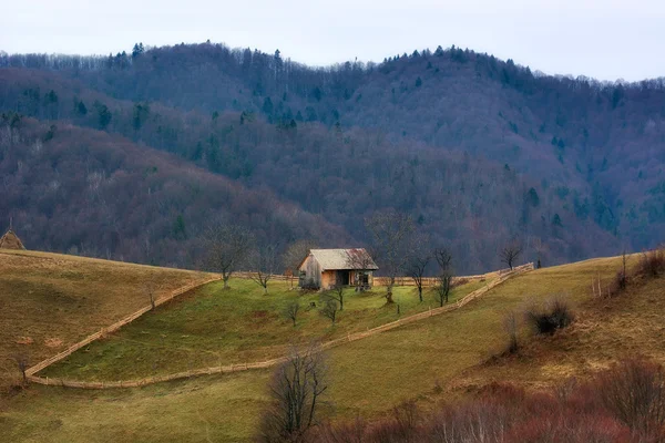 El día brumoso y soleado del otoño, sobre las colinas salvajes de Transilvania. Holbav. Rumanía —  Fotos de Stock