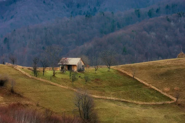안개와 맑은 날 야생 랜 언덕에는. Holbav입니다. 루마니아 — 스톡 사진