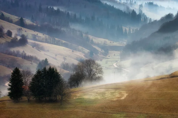 Bir sonbahar, vahşi Transilvanya tepelerde sisli ve güneşli bir gün. Holbav. Romanya — Stok fotoğraf