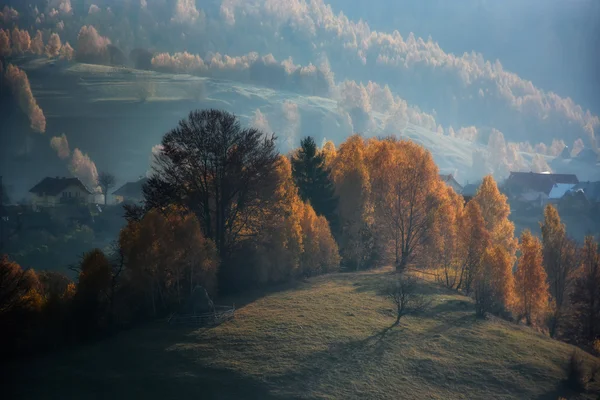 Bir sonbahar, vahşi Transilvanya tepelerde sisli ve güneşli bir gün. Holbav. Romanya — Stok fotoğraf