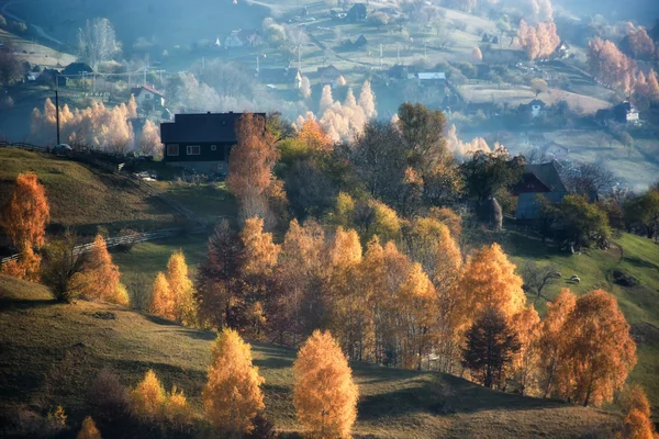 El día brumoso y soleado del otoño, sobre las colinas salvajes de Transilvania. Holbav. Rumanía —  Fotos de Stock
