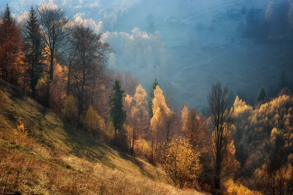 El día brumoso y soleado del otoño, sobre las colinas salvajes de Transilvania. Holbav. Rumanía —  Fotos de Stock