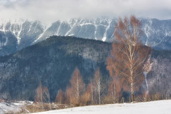 Çarpıcı Alp manzara, Holbav, Transilvanya, Romanya, Avrupa — Stok fotoğraf