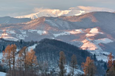 Foggy and sunny day of a autumn, on wild transylvania hills.