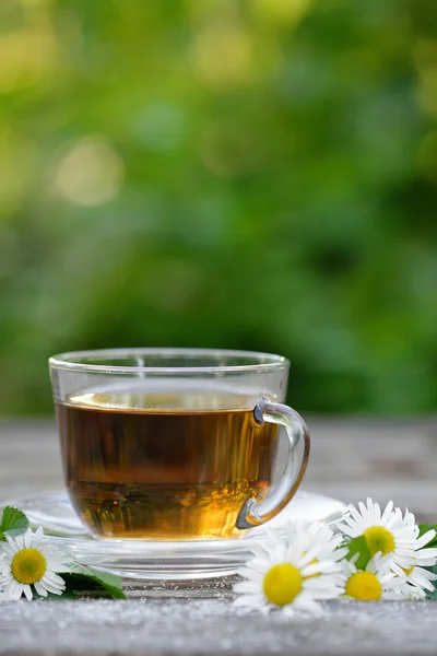 Трав'яні ромашка чай — стокове фото