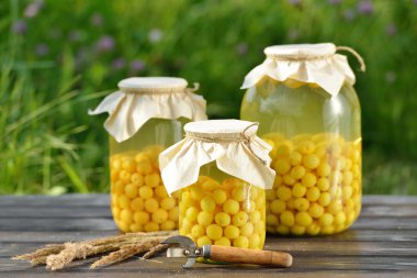 Korunmuş meyve, vişne kompostosu