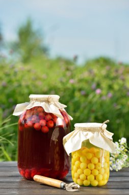 Korunmuş meyve, vişne kompostosu