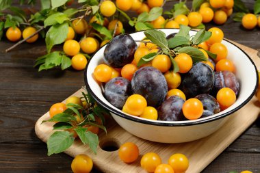 Koyu ahşap masa üzerinde metal kapta taze mavi sarı Erik.