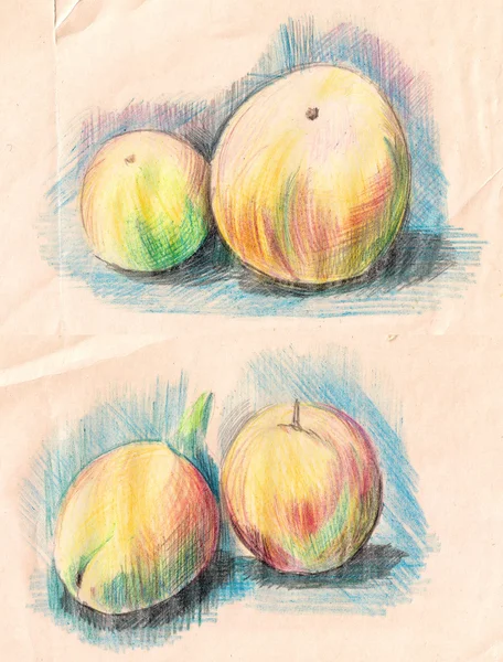 Set of vegetables. peach, Drawn with colored pencils