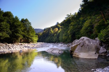 Dağ nehri yeşil ağaçların arasında