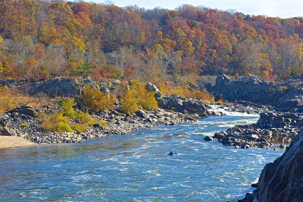 グレート フォールズ州立公園、バージニア州、米国の滝の後ポトマック川の流れ. — ストック写真