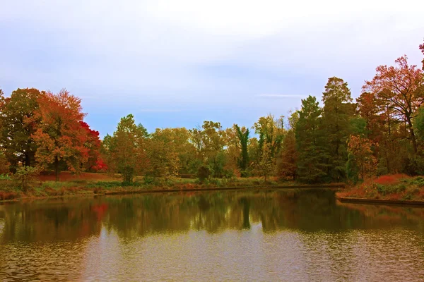 Ons nationale Arboretum in de herfst, Washington Dc. — Stockfoto