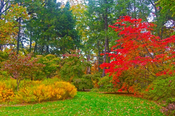 Paleta de otoño . —  Fotos de Stock