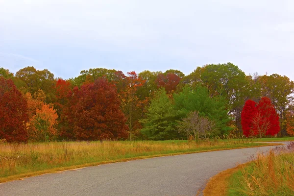 Autumn palette. — Stock Photo, Image