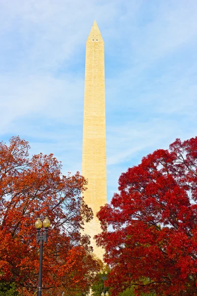 Pomnik Waszyngtona w jesień kolorowy drzew. — Zdjęcie stockowe