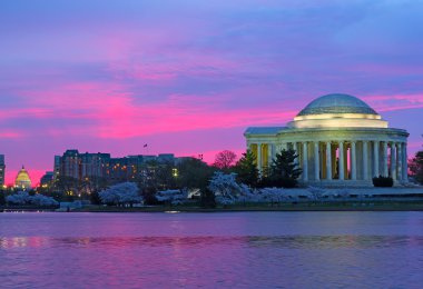 Thomas Jefferson Memorial kiraz çiçeği Festivali sırasında şafak.