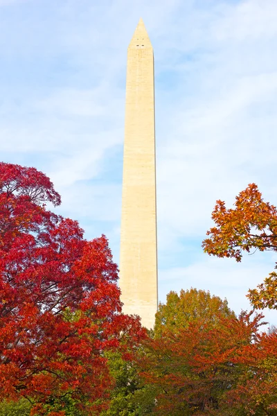 Washington Monument entouré d'arbres dans le feuillage d'automne . — Photo