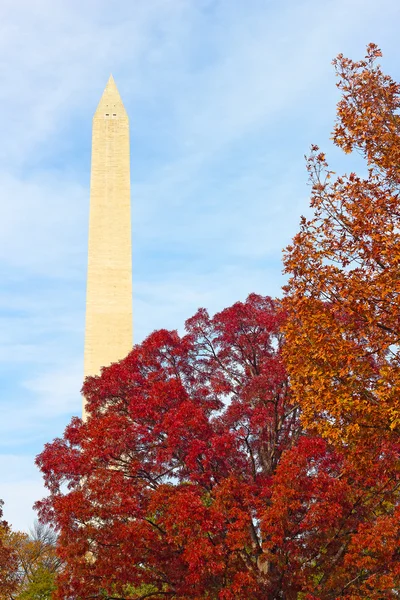 Monumento a Washington rodeado de árboles en otoño follaje . — Foto de Stock