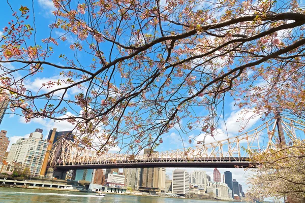 Uitzicht op Manhattan en de East River in het voorjaar van. — Stockfoto