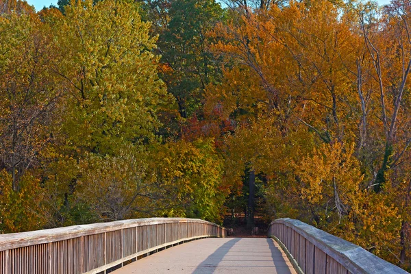 Un puente hacia Theodore Roosevelt Island Park con árboles en follaje otoñal en Washington DC, EE.UU. . —  Fotos de Stock