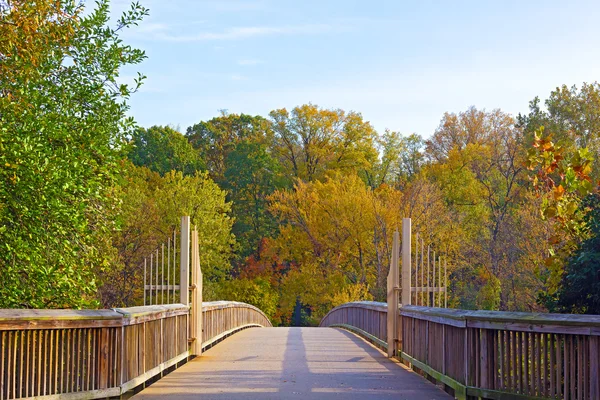 A footpath bridge to Theodore Roosevelt Island and colorful trees in autumn, Washington DC. — Stock Photo, Image