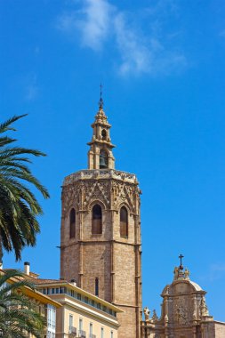 Valencia katedral çan kulesi ve palmiye ağaçları.