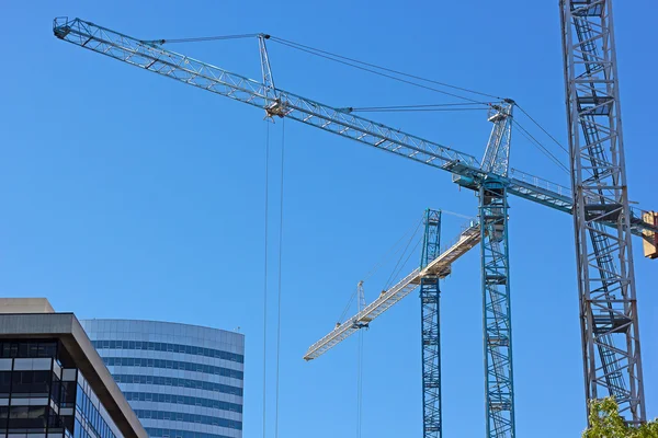 Multiple construction cranes work side by side. — Stock Photo, Image